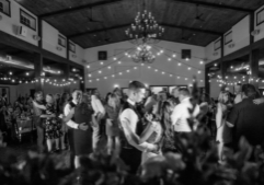 Wedding DJ vs band side-by-side comparison for Chicago couples